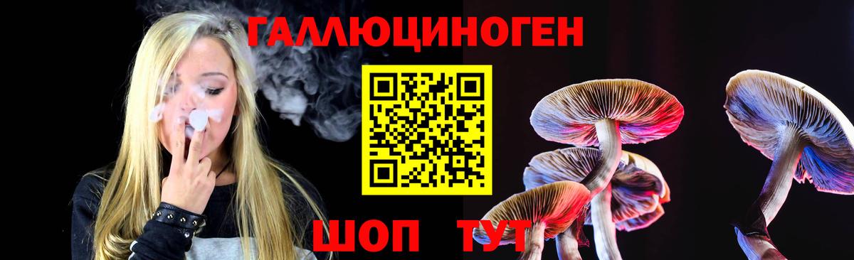 Псилоцибиновые грибы Psilocybine cubensis Изобильный